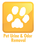 Pet Urine and Odor Removal Services
